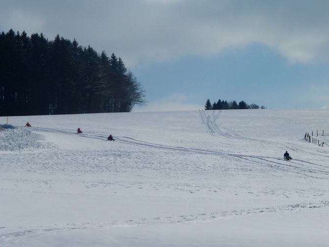 die Rodelbahn